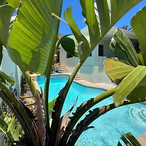 https://loloho-lodge-cape-town.hotels-capetown.com